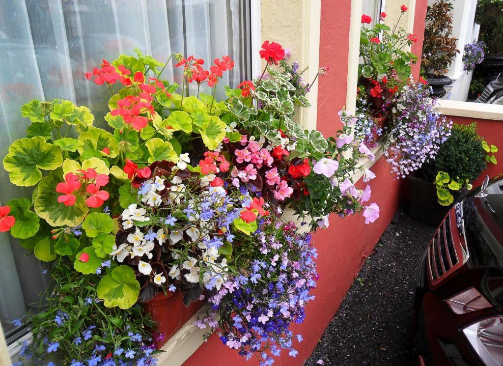 Hotel Achill House Cork Exterior foto